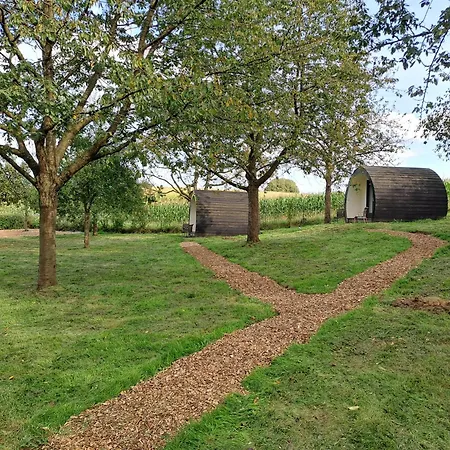 Natuurhuisje Uit De Kunst Peer Alojamento de Acomodação e Pequeno-almoço 3*