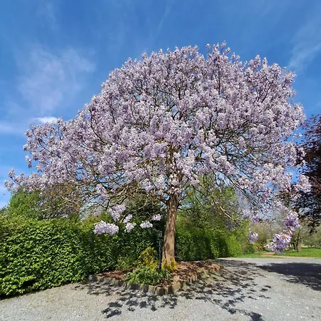 Uit De Kunst Peer 3*