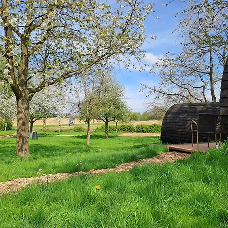 Natuurhuisje Uit De Kunst Peer 3* Bingelrade