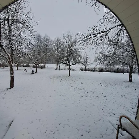 Uit De Kunst Peer Bingelrade