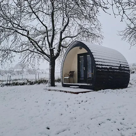 Uit De Kunst Peer Bed & Breakfast Bingelrade