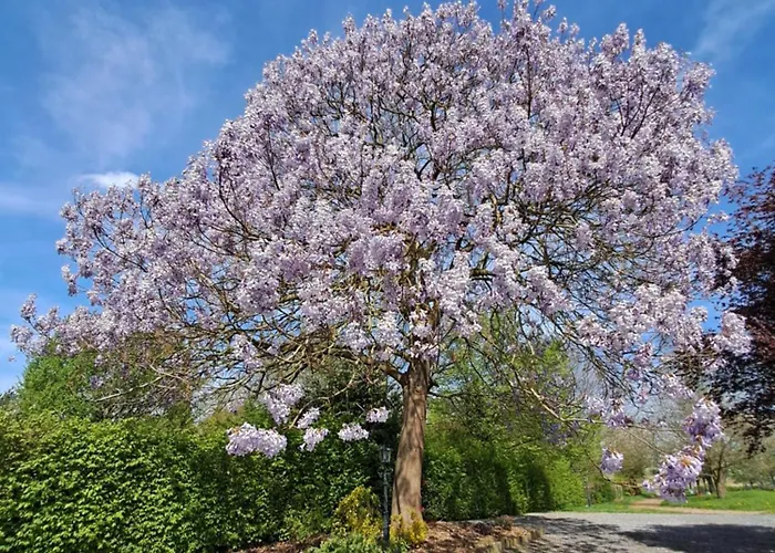 Uit De Kunst Peer 3*