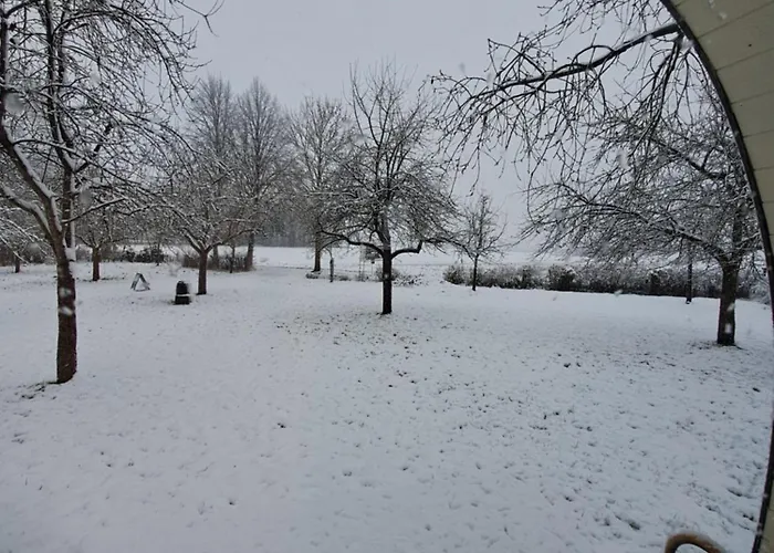 Uit De Kunst Peer Bingelrade