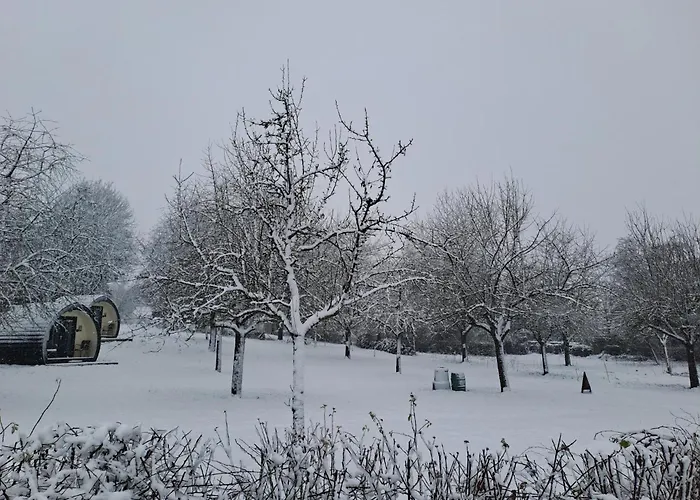 Uit De Kunst Peer Bingelrade