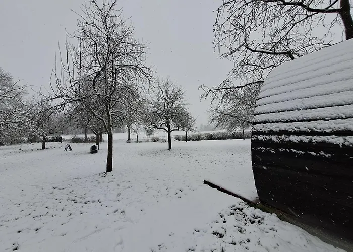 Oda ve Kahvaltı Uit De Kunst Peer 3*