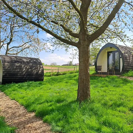 Uit De Kunst Peer 3*